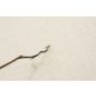 HP Pavilion dv6000 Webcam Cable