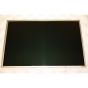 AU Optronics B141EW04 V.4 14.1" Glossy LCD Screen