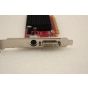 ATi Radeon HD 2400 Pro 256MB DVI PCI-Express Video Card CP306