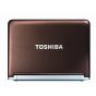 Toshiba NB305 Netbook 250GB WebCam WiFi Windows 7 - Brown
