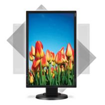 22" Inch NEC MultiSync E222W Widescreen LCD Monitor (1680x1050, DVI, VGA, Black)