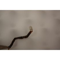 Illustration depicting HP Pavilion TX2000 Speakers DD0TT9TH000