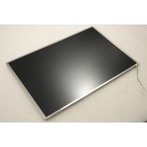 AU Optronics B152EW01 V.2 15.2" Matte LCD Screen