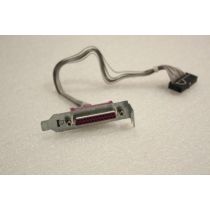 HP Compaq 8000 DC7900 Low profile Parallel Port Cable 462537-002