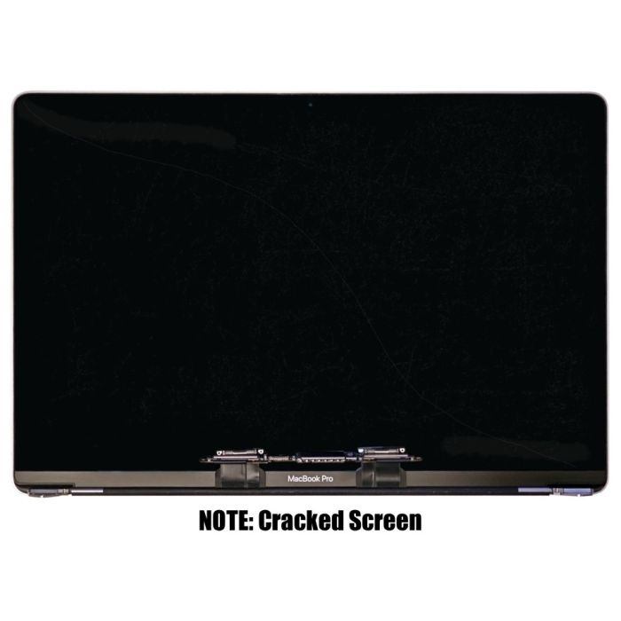 Apple MacBook Pro A2141 Screen Display Assembly (Cracked)