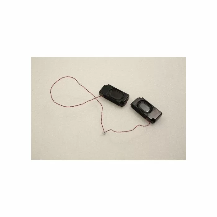 Siemens Nicview P20-1 Speakers Set