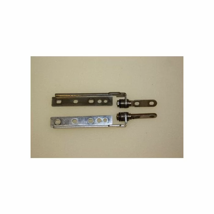 Fujitsu ICL ErgoLite X LCD Screen Hinge Set