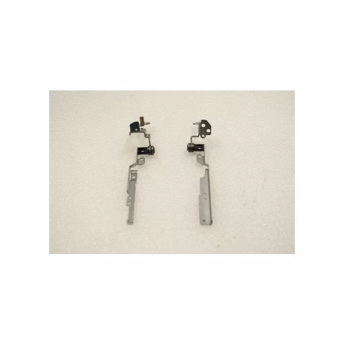Sony Vaio PCG-F801A LCD Screen Hinge Set 