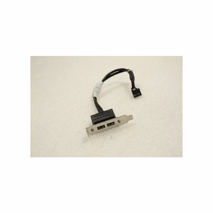 IBM Lenovo ThinkCentre M58 Rear Low Profile Bracket USB Cable 42Y8006