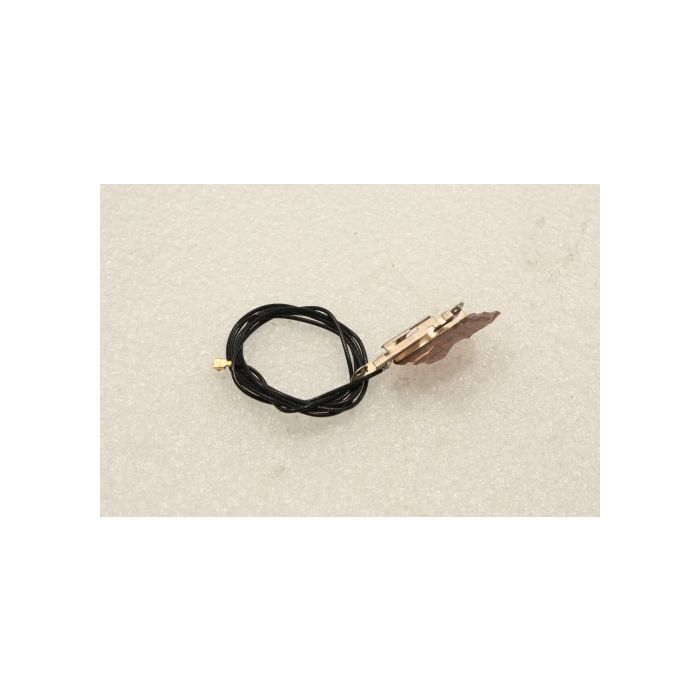 Packard Bell EasyNote R0422 WiFi Wireless Aerial Antenna 