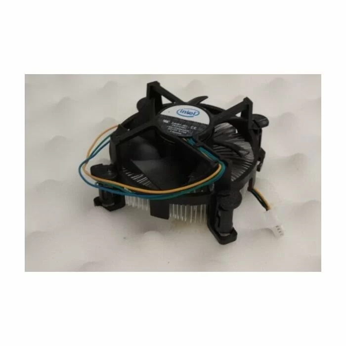 Magasin de pièces pour Quad BASHAN 200 BS200S7, WILDLANDER DUNE 200X, LANVERTTI SCORPIO 20007 Quad BASHAN
