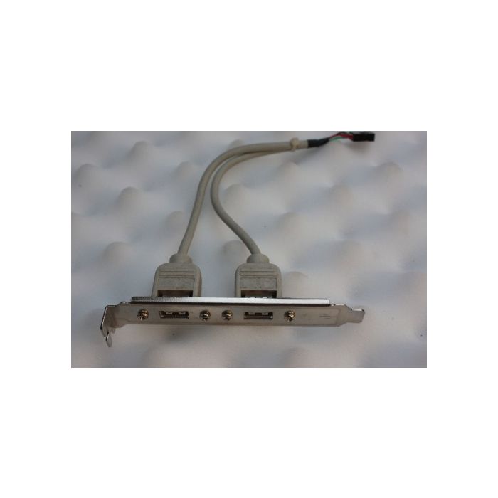 Dual USB PCI Bracket Cable